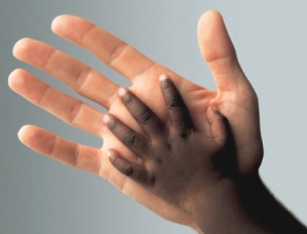 solidarieta
