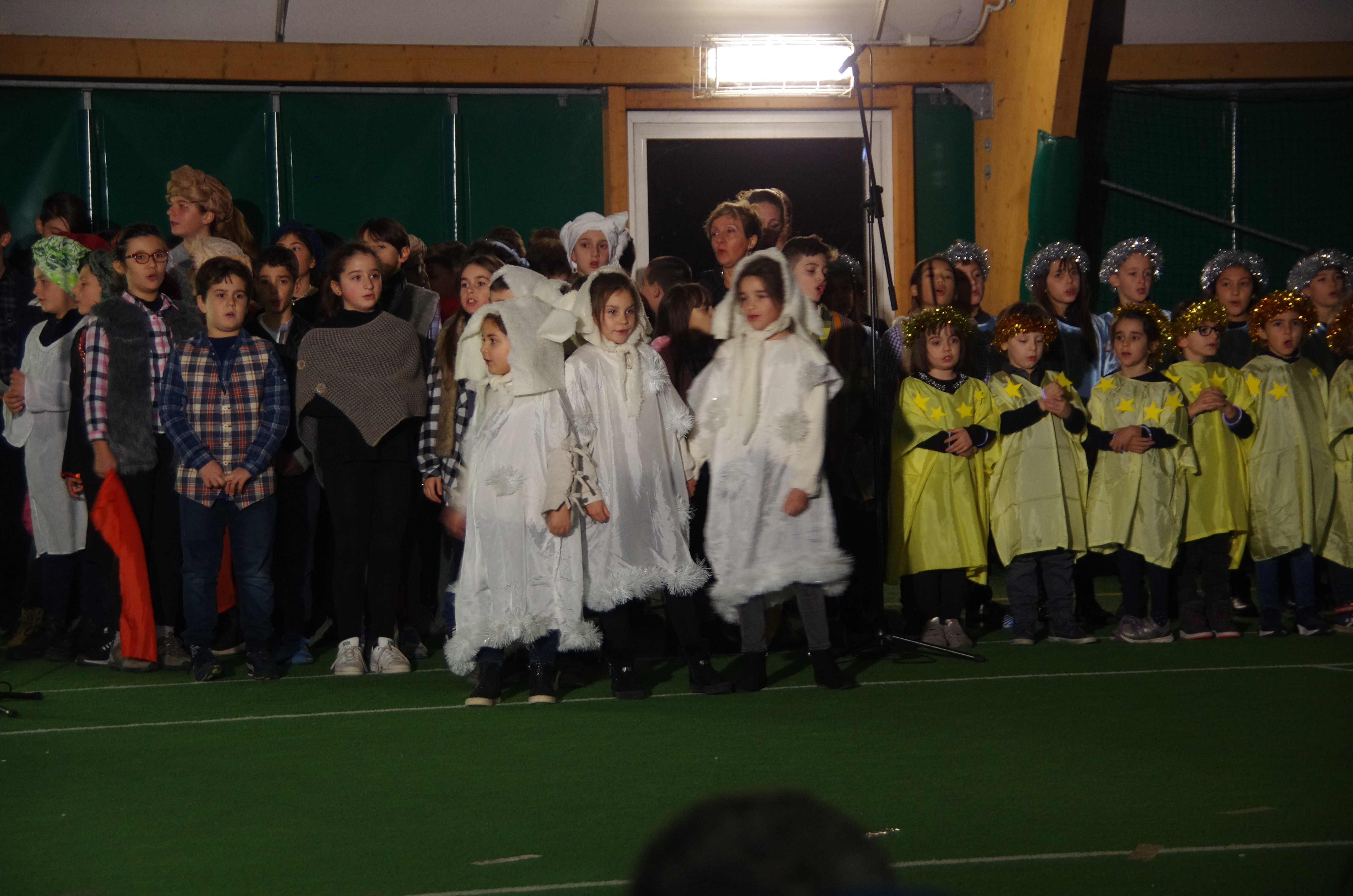 Stelline e pecorelle