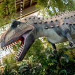 3100 IPETEA Eventi del 2019